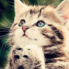 爱游戏新版-爱游戏(AIYOUXI)官方网站